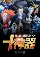 《寵物小精靈進化之十神器》