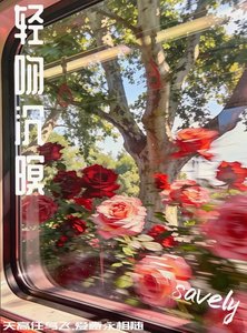 《輕吻沉暝》