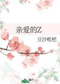 《親愛的Z》